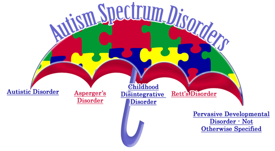 Autism Spectrum Disorder And The Childhood Autism